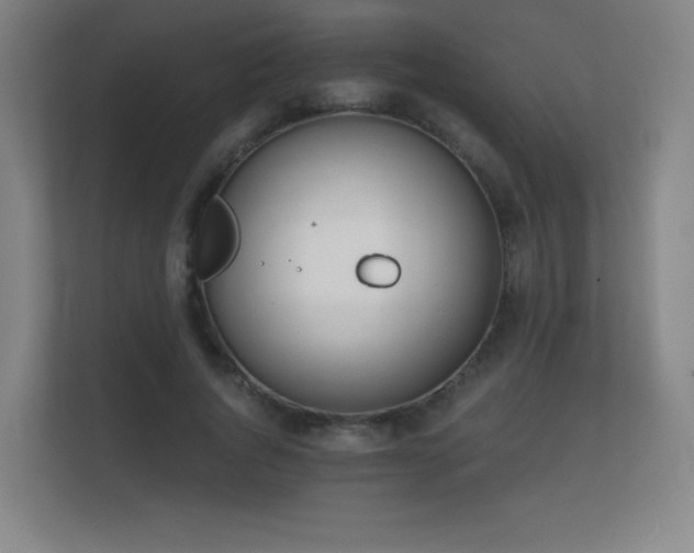 X0000112180736200908141325