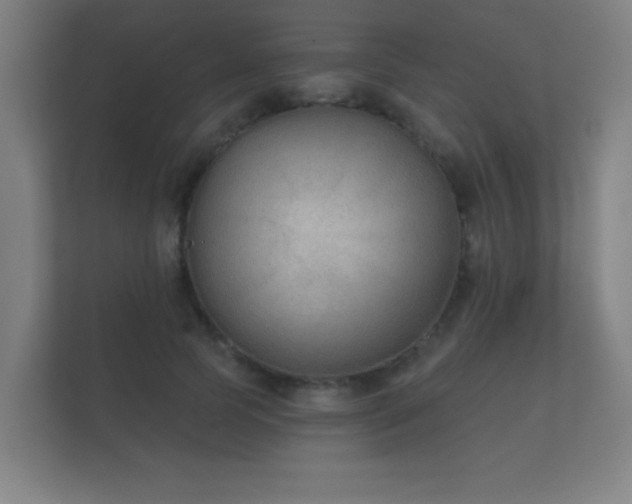 X0000112180745200908141325