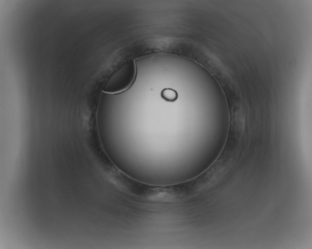 X0000112180750200908141325