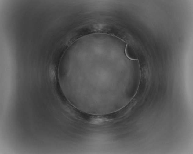 X0000112180754200908141325