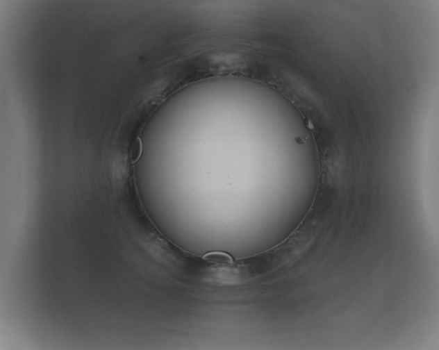 X0000112180756200908141325