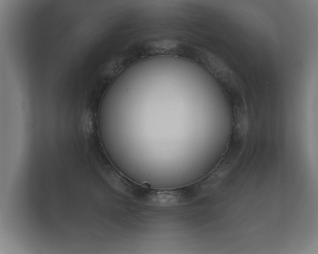 X0000112180758200908141325