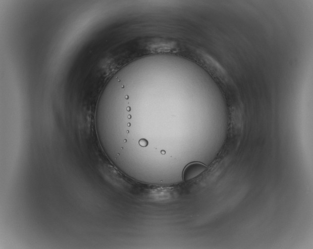 X0000112180761200908141325