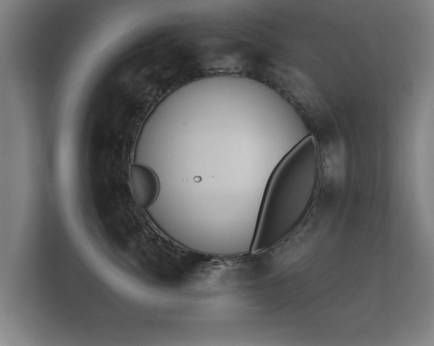 X0000112180764200908141325