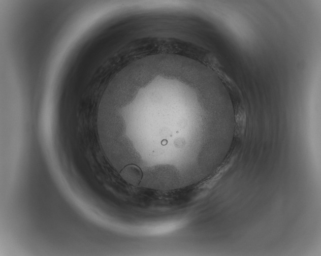 X0000112180765200908141325