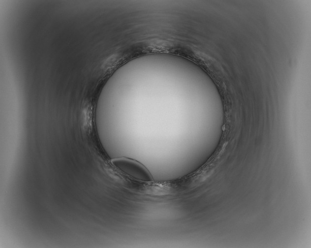 X0000112180768200908141325