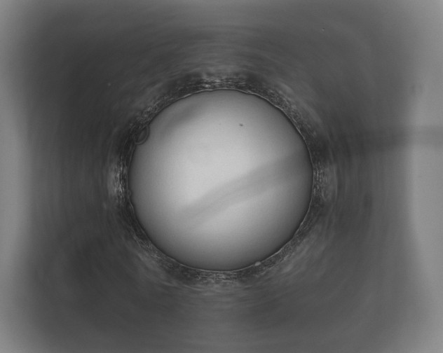 X0000112180770200908141325