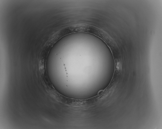 X0000112180771200908141325