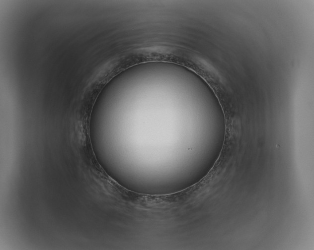 X0000112180774200908141325