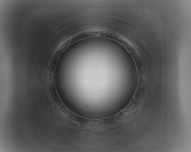 X0000112180775200908141325