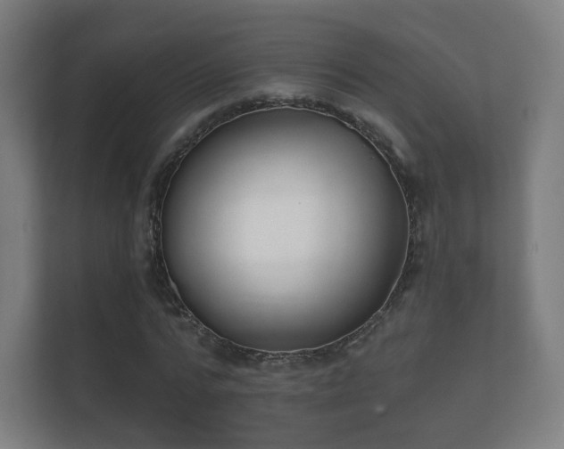 X0000112180776200908141325