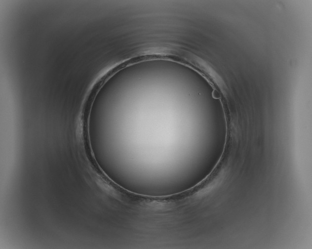 X0000112180779200908141325