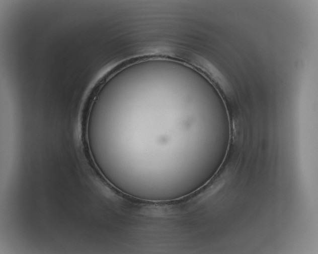 X0000112180780200908141325