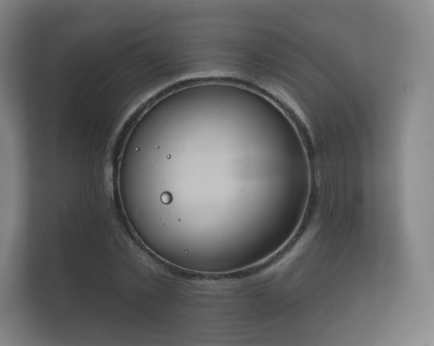 X0000112180781200908141325