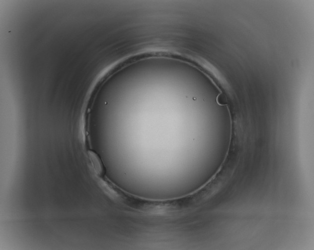 X0000112180791200908141325