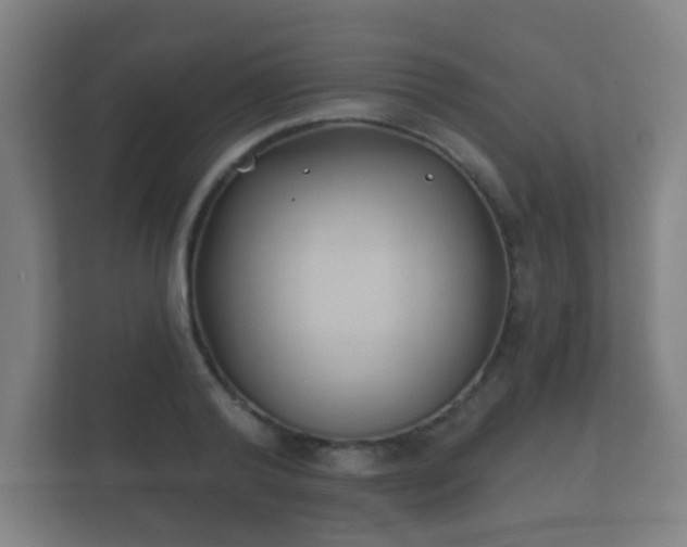 X0000112180792200908141325