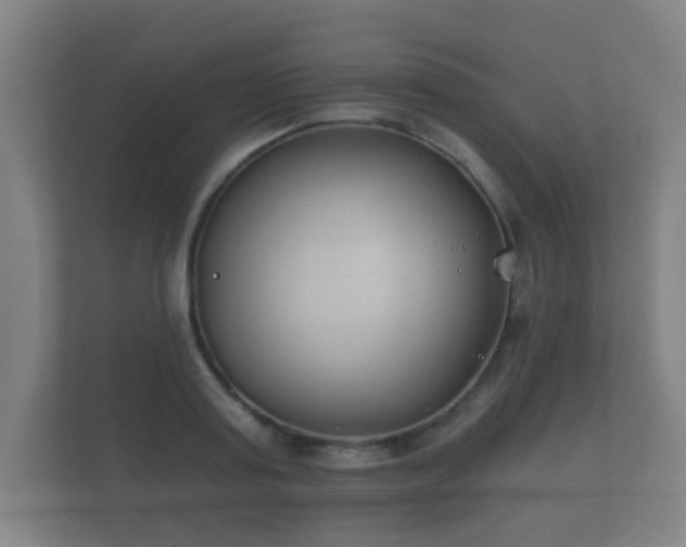 X0000112180795200908141325