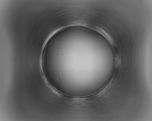 X0000112180812200908141324