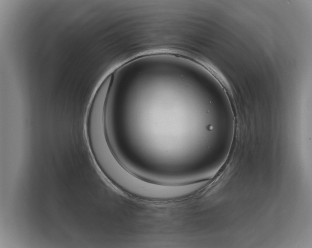 X0000112180813200908141324