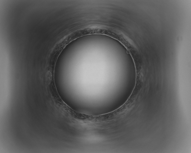 X0000112180821200908141324