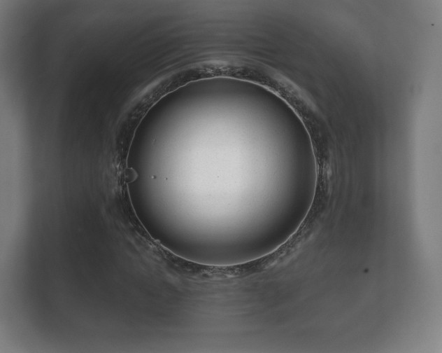 X0000112180822200908141324