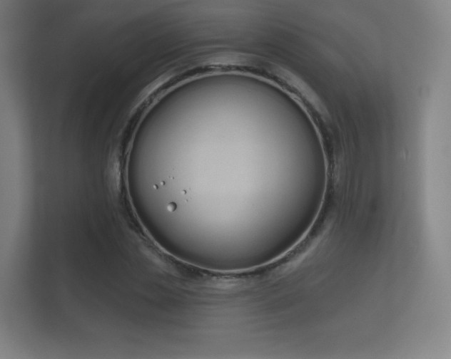 X0000112180829200908141324