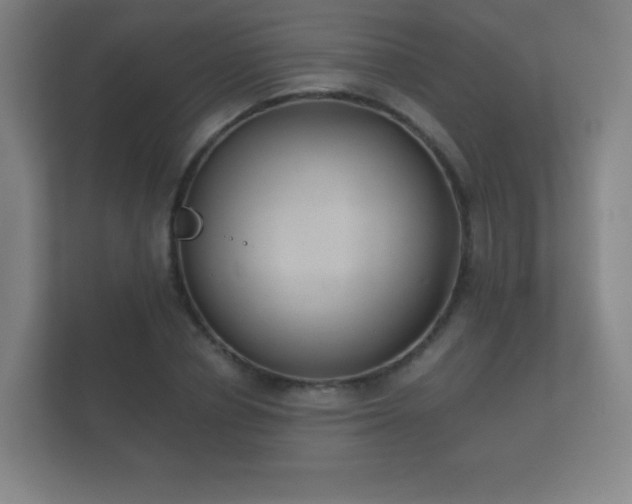 X0000112180834200908141324