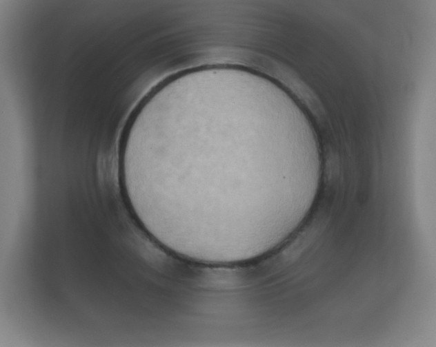 X0000112180836200908141324