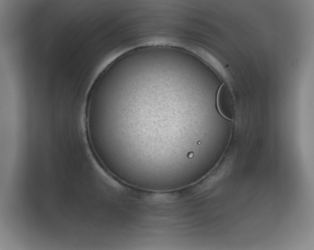 X0000112180847200908141324