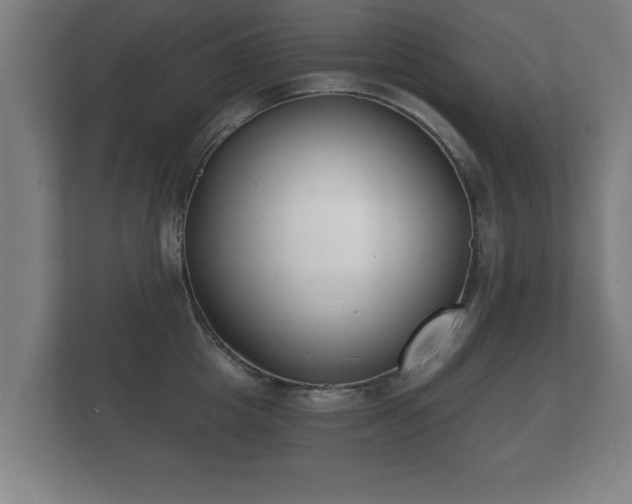 X0000112180857200908141324