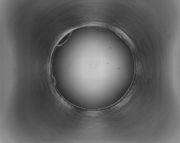 X0000112180860200908141324