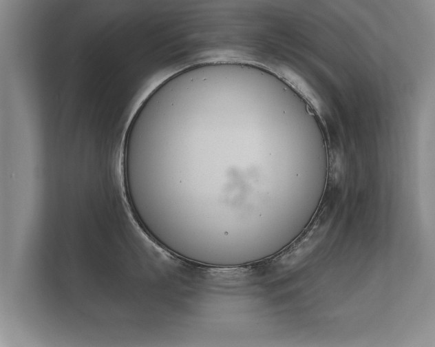 X0000112180863200908141324