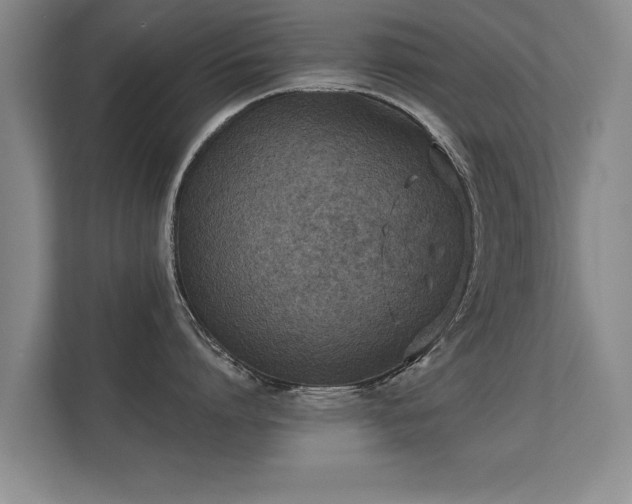 X0000112180864200908141324