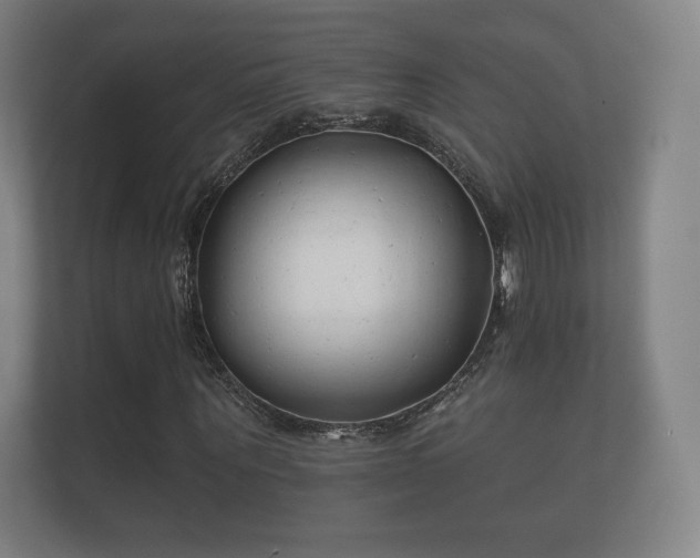 X0000112180867200908141324