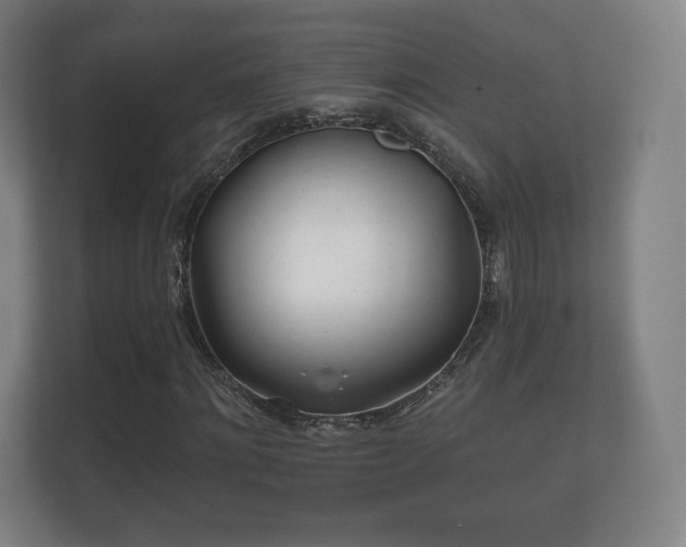 X0000112180868200908141324