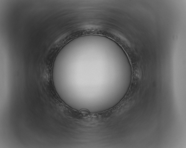 X0000112180869200908141324