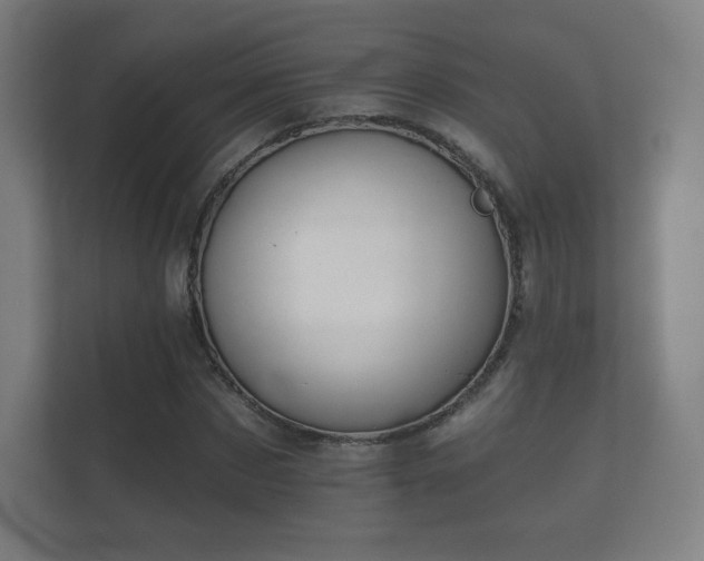 X0000112180873200908141324