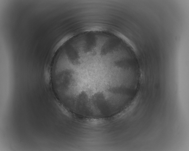 X0000112180874200908141324