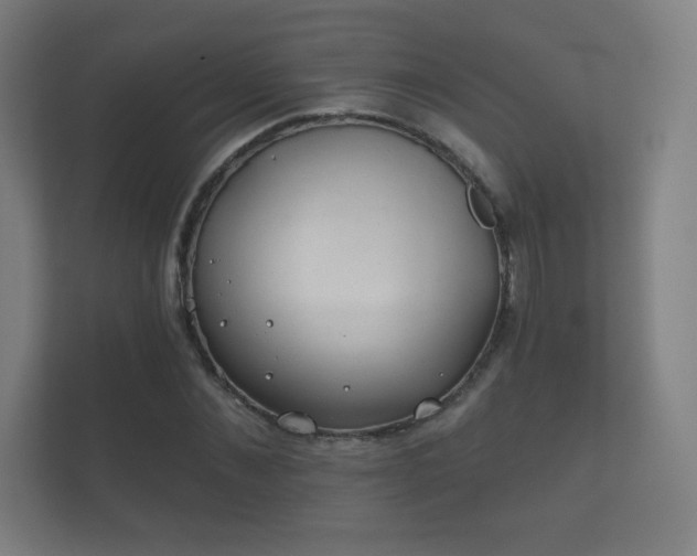 X0000112180876200908141323