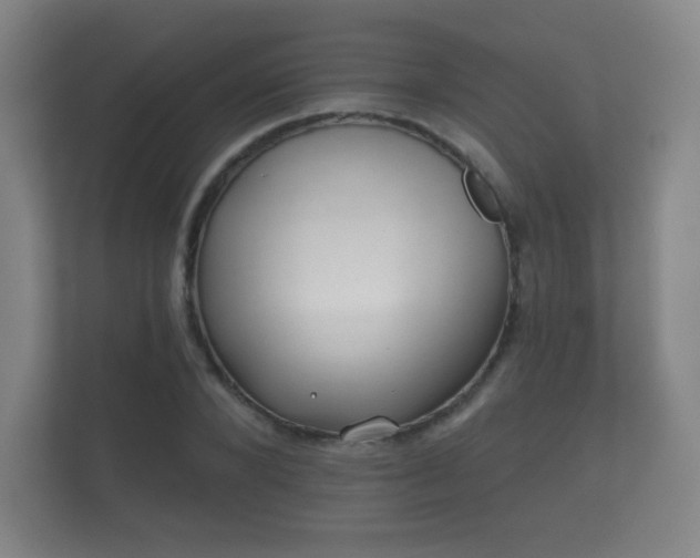 X0000112180880200908141323