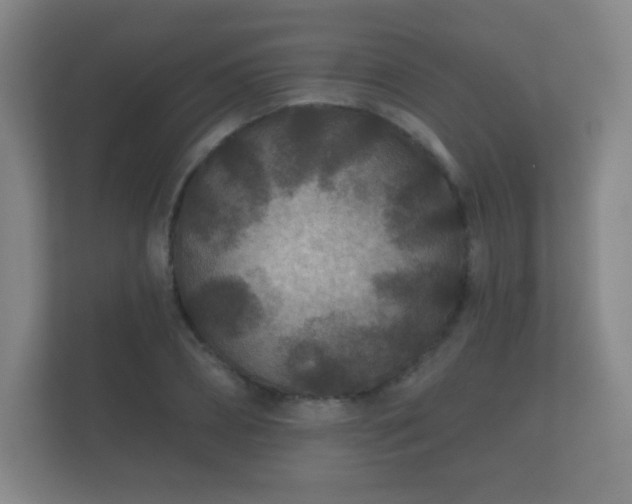 X0000112180882200908141323