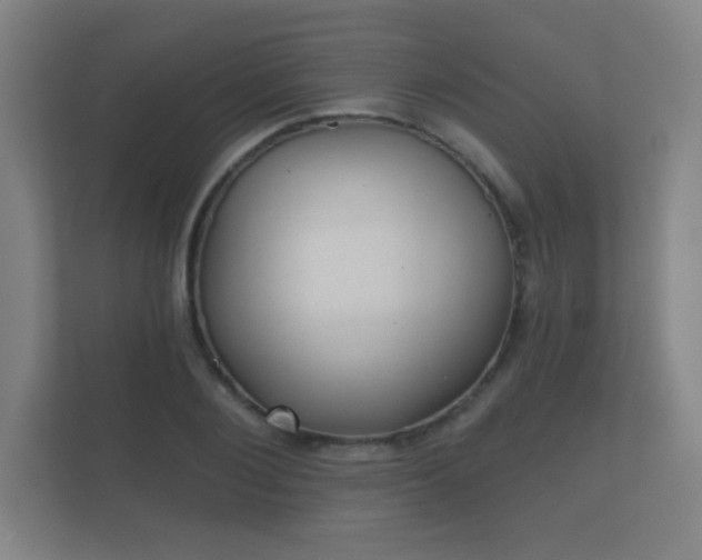 X0000112180884200908141323