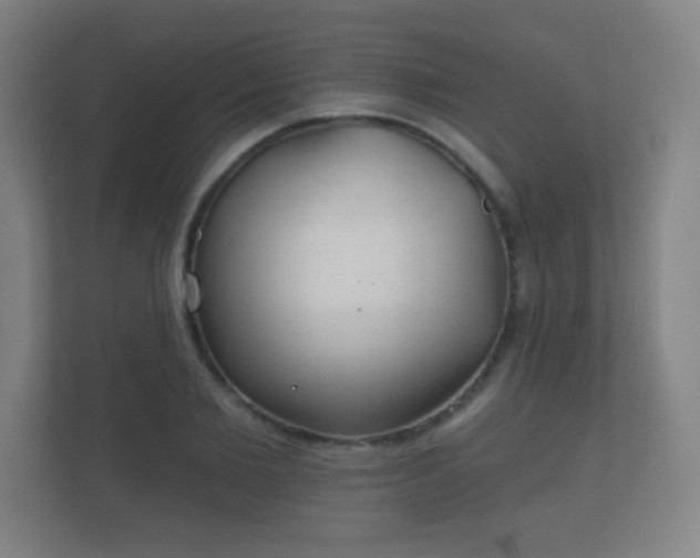 X0000112180885200908141323