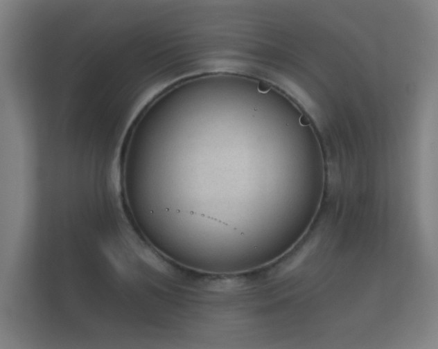 X0000112180891200908141323