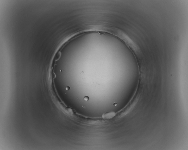 X0000112180892200908141323