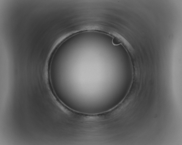 X0000112180894200908141323