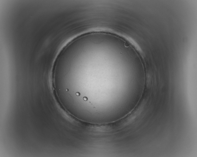 X0000112180895200908141323