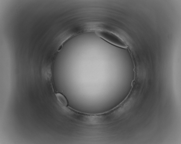 X0000112180897200908141323