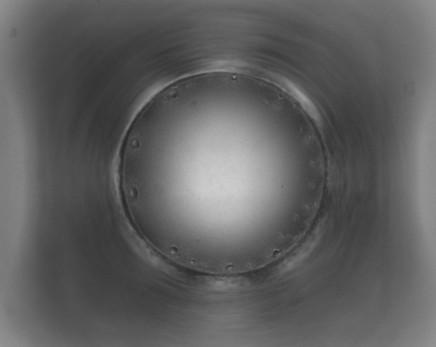 X0000112180899200908141323