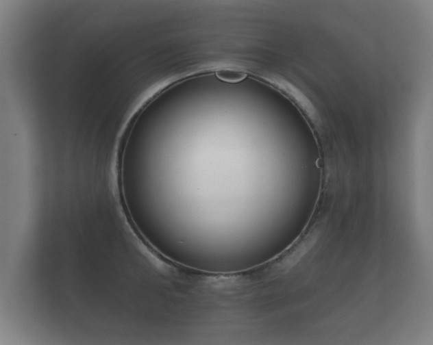 X0000112180902200908141323